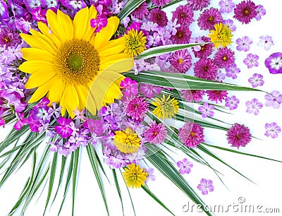 A beautiful bouquet of flowers of sunflowers, chrysanthemums, phloxes Stock Photo