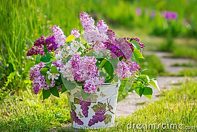 Beautiful bouquet of lilac in the garden Stock Photo