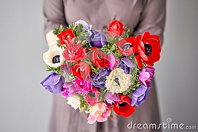 Beautiful bouquet of multicolored anemones in woman hand. the work of the florist at a flower shop. A small family Stock Photo