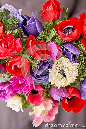 Beautiful bouquet of multicolored anemones in woman hand. the work of the florist at a flower shop. A small family Stock Photo