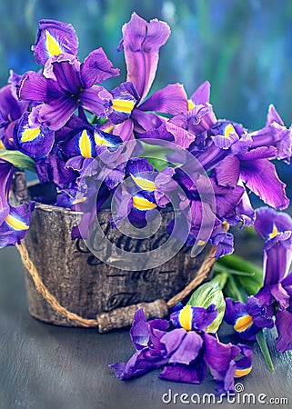 Beautiful bouquet of a purple irises Stock Photo