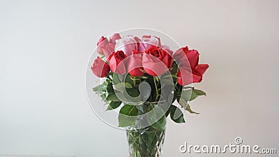 Beautiful bouquet of roses in jars on table with white background. Wedding bouquet of red rose Stock Photo