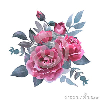 Watercolor bouquet of pink rose, collection garden flowers, leaves, illustration isolated on white background Stock Photo
