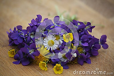 Beautiful Bouquet of Wild Flowers Stock Photo