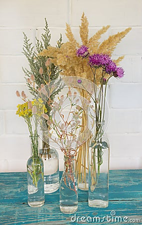 Beautiful bouquet of wildflowers in a variety of bottles on a white background. Beige furry spikes, gray wormwood, bright daisies Stock Photo