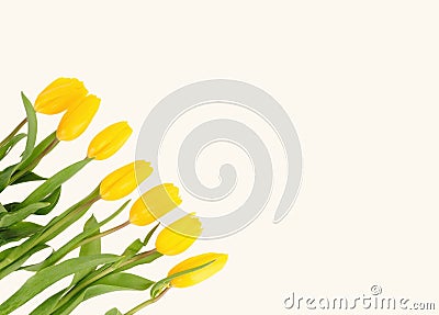 Beautiful bouquet of yellow tulips on a white background Stock Photo