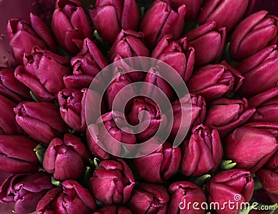 Beautiful bouquets of tulip flowers, top view Stock Photo