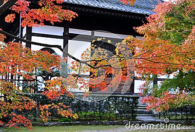 Beautiful branches of maple trees with red leaves in autumn on a photo of an ancient Japanese temple Stock Photo