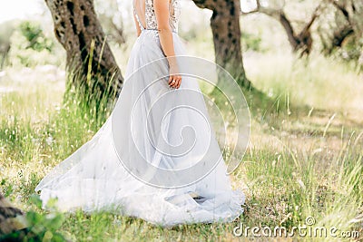 beautiful bride in tender wedding dress in the olive grove Stock Photo