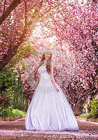 Beautiful bride in a white dress under the sakura tree and flower petals Stock Photo