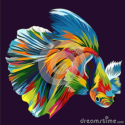 Beautiful and bright colorful betta fish is very beautiful Stock Photo