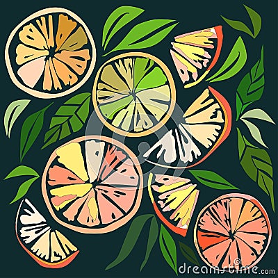 Beautiful bright colorful delicious tasty yummy ripe juicy lovely orange summer autumn dessert slices of oranges and mandarins pat Vector Illustration