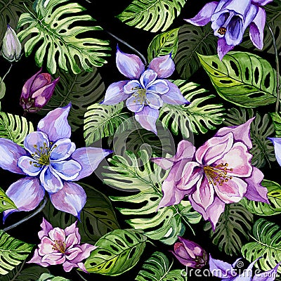 Beautiful bright columbine flowers or aquilegia and exotic monstera leaves on black background. Watercolor painting. Cartoon Illustration