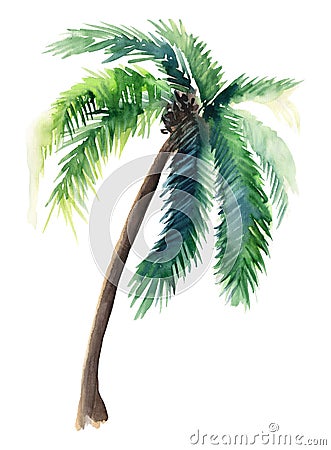 Beautiful bright cute green tropical lovely wonderful hawaii floral herbal summer pattern of a palm trees watercolor hand sketch Stock Photo