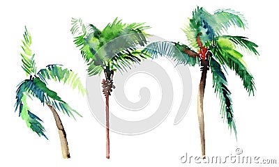 Beautiful bright cute green tropical lovely wonderful hawaii floral herbal summer three palm trees watercolor hand sketch Stock Photo