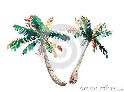 Beautiful bright cute green tropical lovely wonderful hawaii floral herbal summer two palm trees watercolor hand sketch Stock Photo