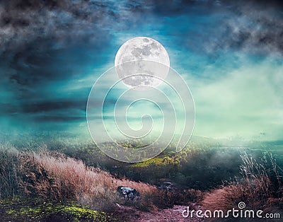 Beautiful bright full moon above wilderness area in forest. Serenity nature background Stock Photo