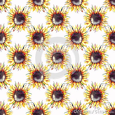 Beautiful bright graphic autumn wonderful colorful yellow orange herbal floral sunflowers geometric pattern Cartoon Illustration