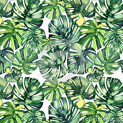 Beautiful bright green tropical wonderful hawaii floral herbal summer pattern of a monstera palms watercolor hand Cartoon Illustration