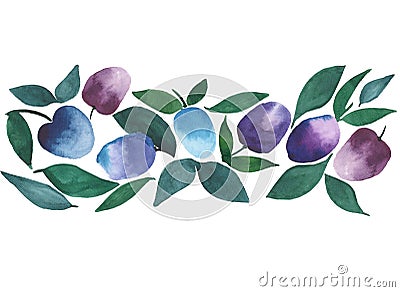 Beautiful bright juicy plums purple and blue watercolor hand sketch Stock Photo