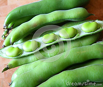 Beautiful broad beans Stock Photo