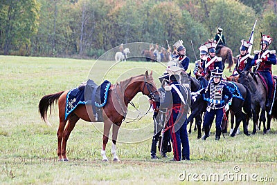 A beautiful brown horse wearing blue horsecloth stands and wags its tail. Editorial Stock Photo