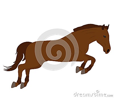 Beautiful brown jumping horse, vector illustration Vector Illustration