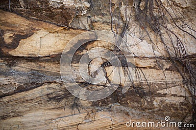 Tangled roots hanging on a red layered Sandstone cliff Stock Photo