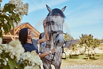 Beautiful brunette girl stroking her gray horse near lilac bushes in garden. Stock Photo