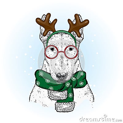 A beautiful bull terrier in a deer suit and a winter scarf. New Year`s and Christmas. Pedigree dog. Vector Illustration