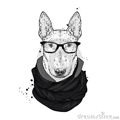 A beautiful bull terrier with glasses and a scarf. Vector illustration with thoroughbred dog. Hipster. Vector Illustration