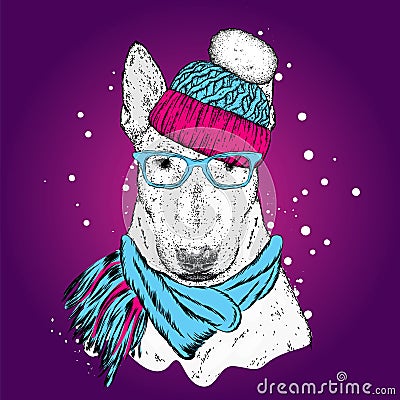 A beautiful bull terrier with a hat and a winter scarf. New Year`s and Christmas. Pedigree dog. Vector Illustration