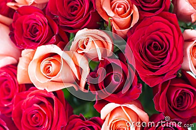 A Beautiful Bunch of Beautiful Tight Red and Salmon Roses in a tight bunch Stock Photo