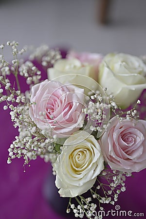 A Beautiful bunch of colored flowers with white buds on purple sheet Stock Photo