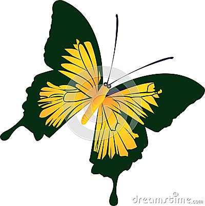 Beautiful butterfly Vector Illustration