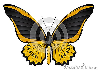 Beautiful butterfly isolated on a white background Vector Illustration