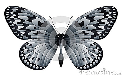 Beautiful butterfly isolated on a white background Vector Illustration