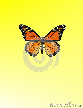 Beautiful butterfly Vector Illustration