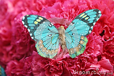 Beautiful butterfly on red carnations Stock Photo