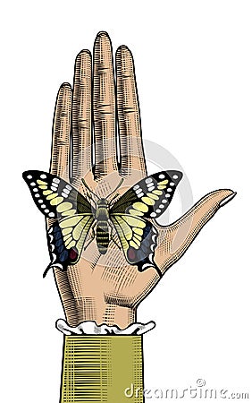 Beautiful butterfly sitting on a female hand Vector Illustration