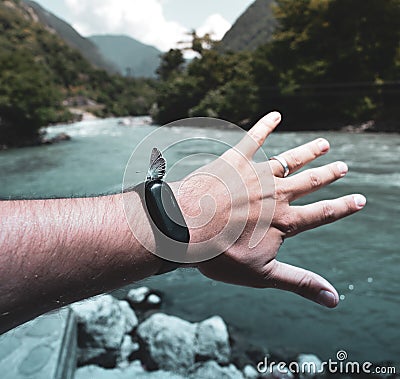 Beautiful butterfly on the smart watch on the hand against the background of the river and green nature Stock Photo