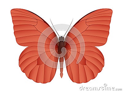 Beautiful butterfly on a white background Vector Illustration