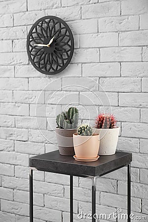 Beautiful cacti in flowerpots on table near wall Stock Photo