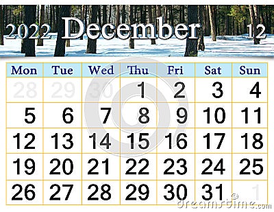 calendar for December 2022 with image of wintter pine forest covered in snow. Stock Photo