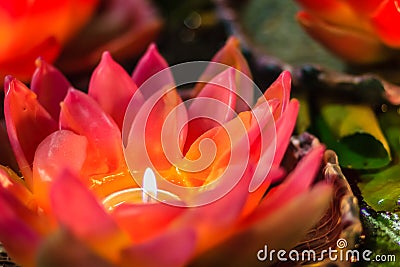 Beautiful Candle Aromatic made to resemble the lotus. Exotic Can Stock Photo