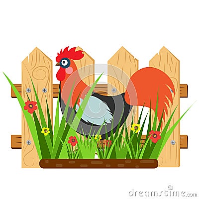 Beautiful card with a cartoon rooster with fence and grass with flowers. Vector Illustration