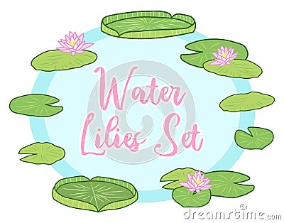 Beautiful cartoon water lily blossom and lotus set for spring and summer decoration Vector Illustration