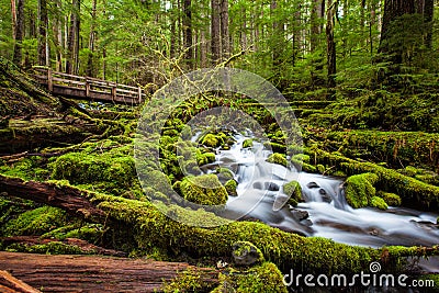 Beautiful cascade waterfall in Sol Duc falls trail Stock Photo