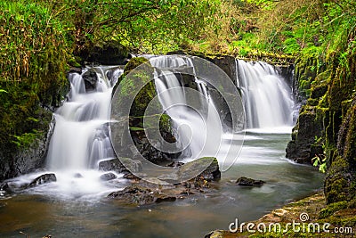 Mountain creek of Clare Glens Stock Photo