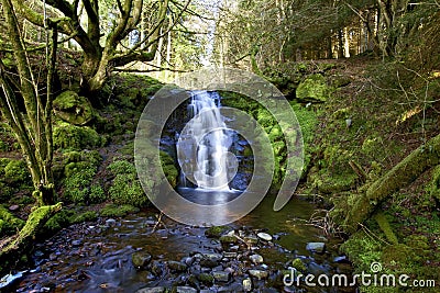 Beautiful cascading waterfall, Nant Bwrefwy, Upper Blaen-y-Glyn Stock Photo